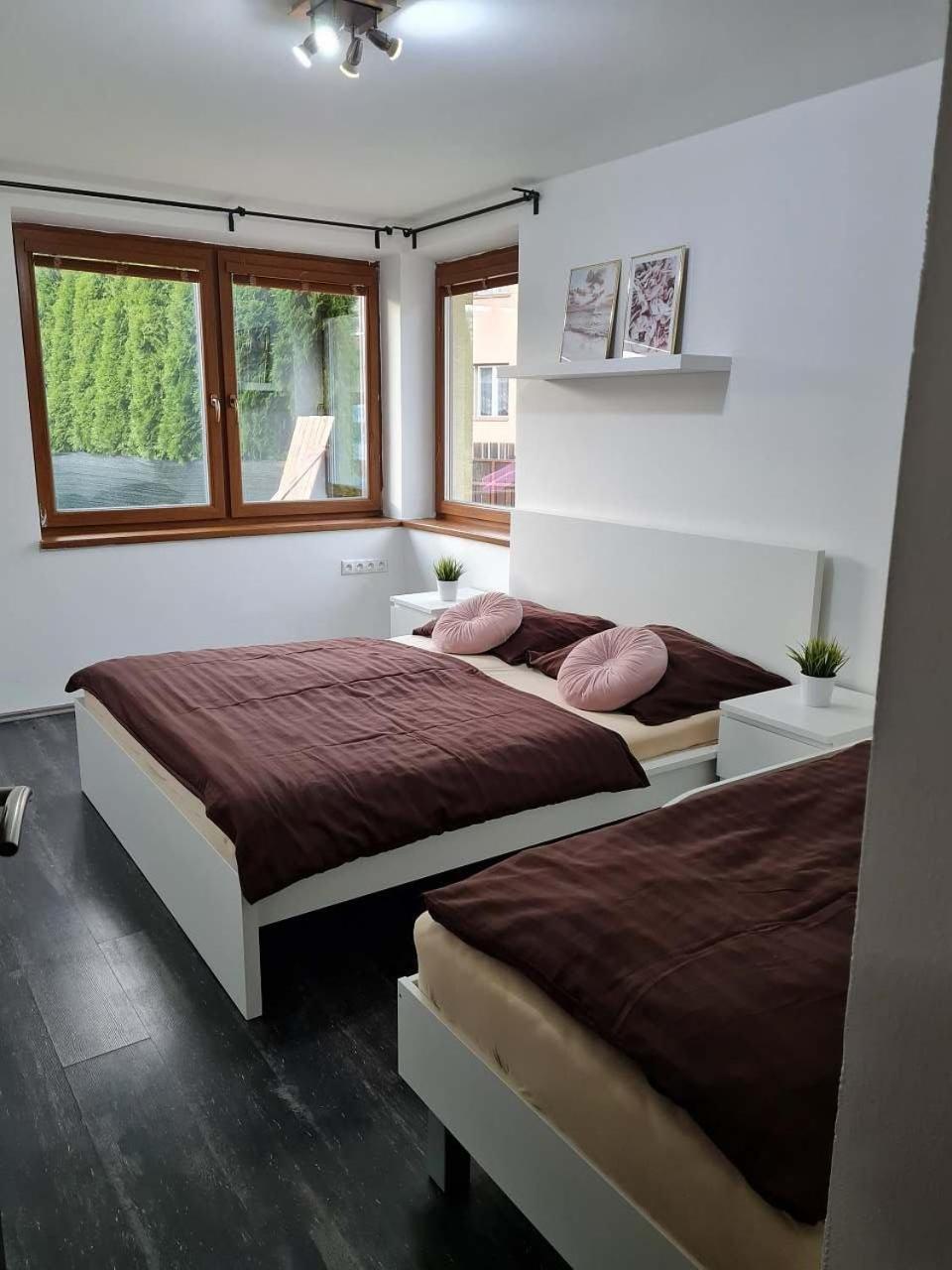 Vila Max - Whirlpool & Bazen & Sauna Velké Losiny Exterior foto